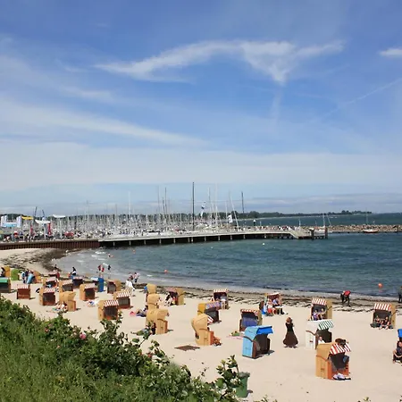 Oeko Lachmoewe Kiel