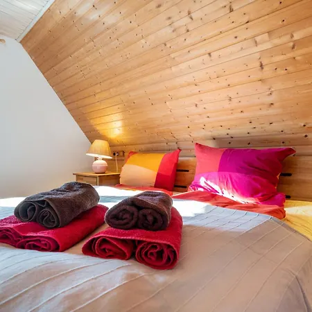 Daire Oeko Lachmoewe Kiel