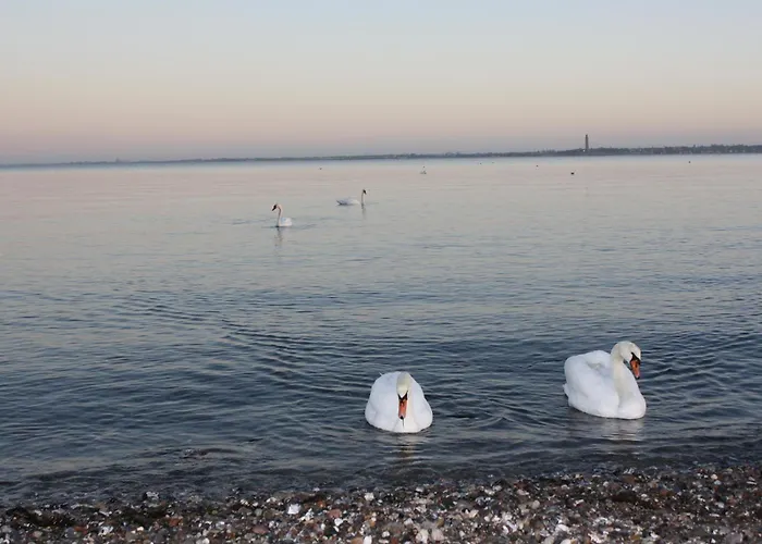 Oeko Lachmoewe Daire *