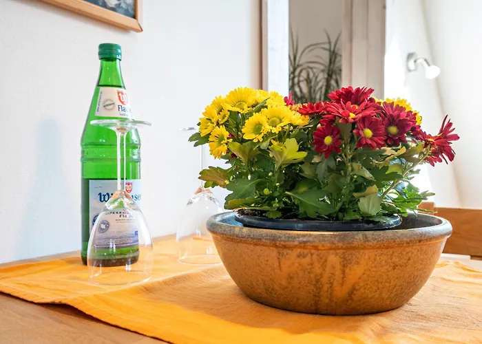 Appartement Oeko Lachmoewe *