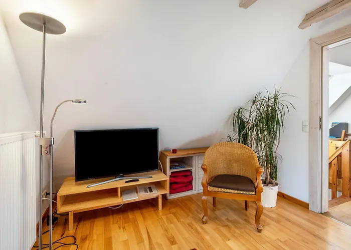 Daire Oeko Lachmoewe Kiel