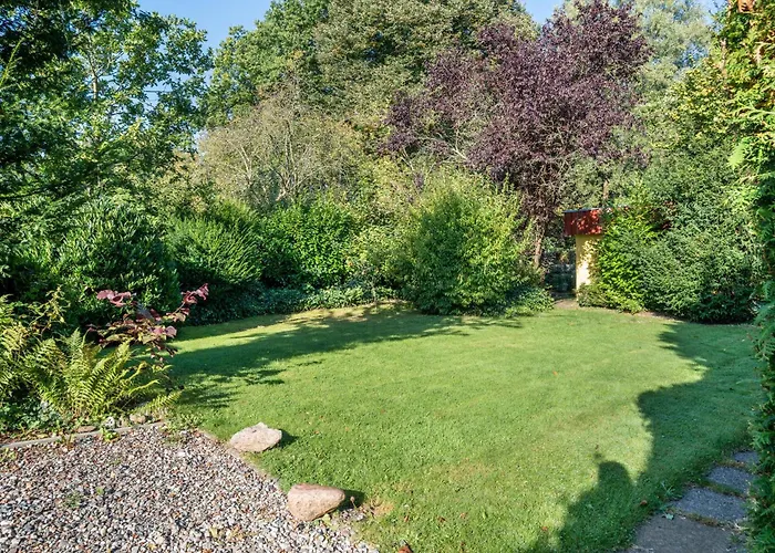 Oeko Lachmoewe Daire Kiel